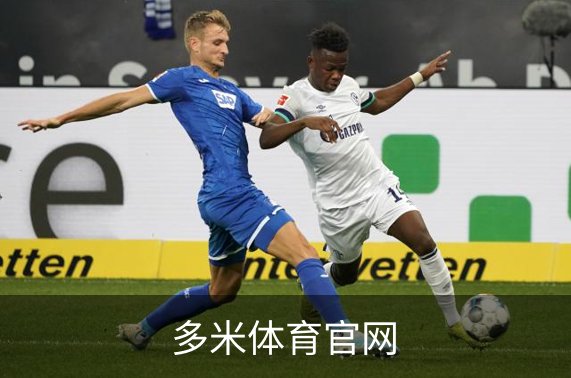 关于多米体育官网